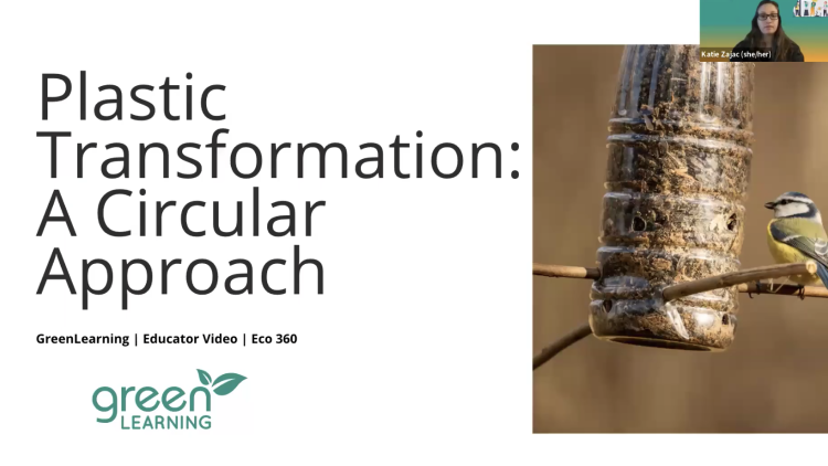 Screen Shot 2025 11 12 at 12 00 05 PM