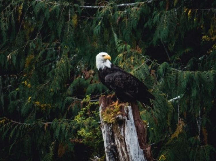 14f0495c75291cd76d8c1b8677dd0e16 client id602a1f2d398ca870526857d2width400height0