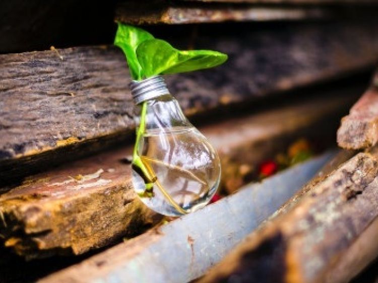 290b27ddc536f93bd6a4460613a152d8 client id602a1f2d398ca870526857d2width400height0