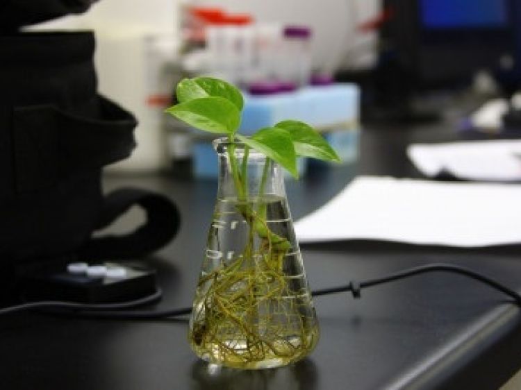 3ba819a2c6685f615239d94db5f3a2fd client id602a1f2d398ca870526857d2width400height0