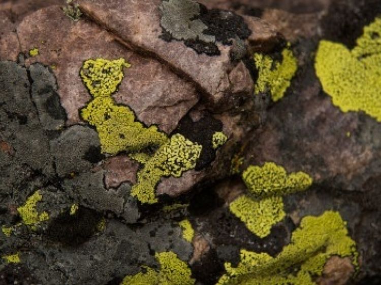 523b1bf3e34eebe5379f007d1bb6682f client id602a1f2d398ca870526857d2width400height0