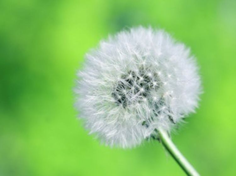 5928b1da469e3dcebc5b94f9cfbc1334 client id602a1f2d398ca870526857d2width400height0