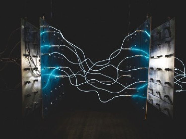 650022b37b9b714c871dfeb0ad7b9251 client id602a1f2d398ca870526857d2width400height0