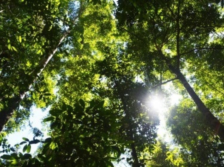 8e97b0bdb3ab3b27754a1c0c1b8e4ef7 client id602a1f2d398ca870526857d2width400height0