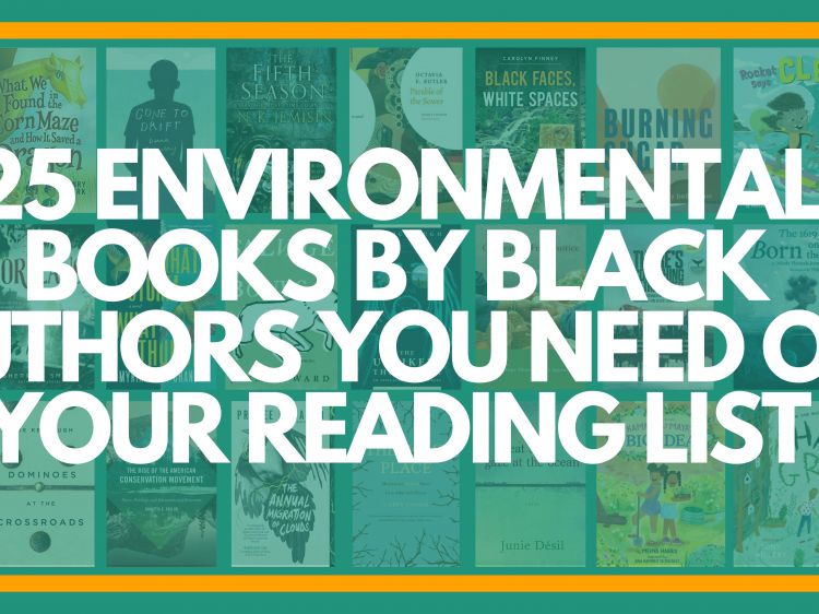 BHM Blog Banners