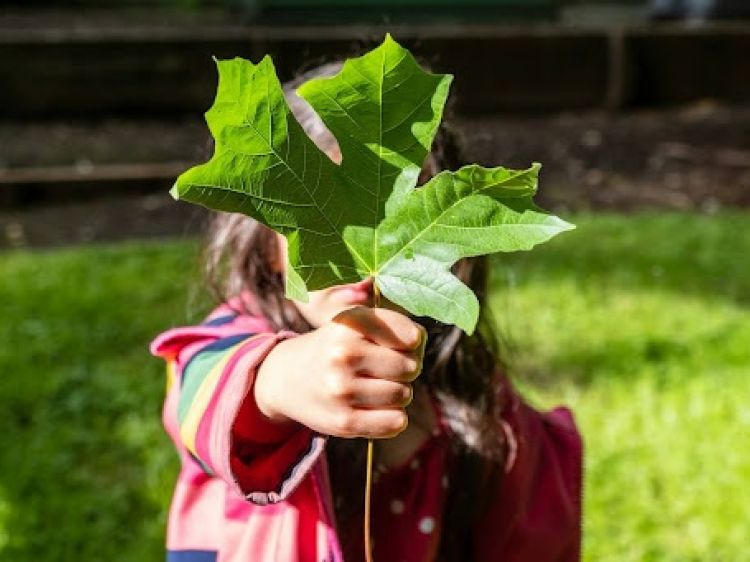 Earth Day Activites for Creating Real Cahnge and Impact at School