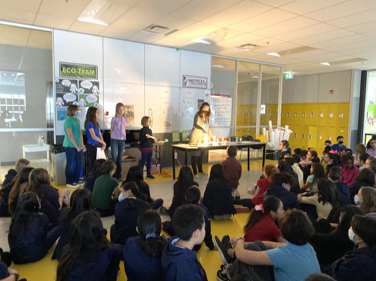 Environmental Challenges