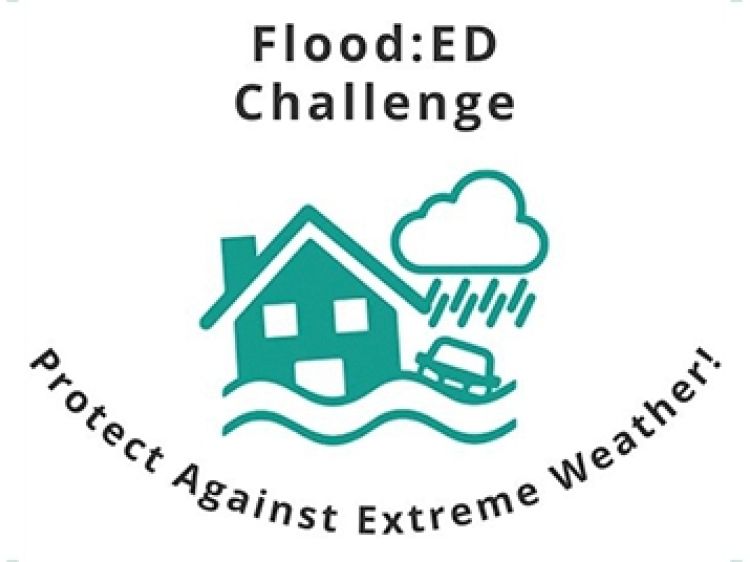 Flood ED Icon crop