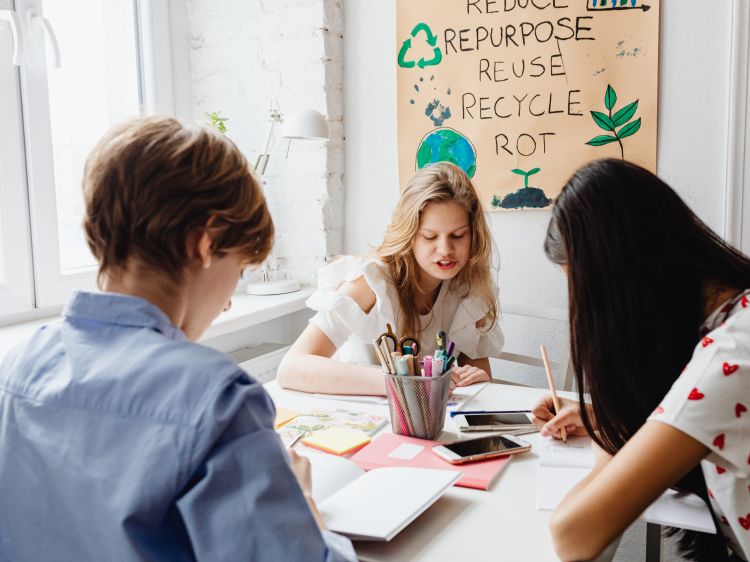 Free Environmental Challenges