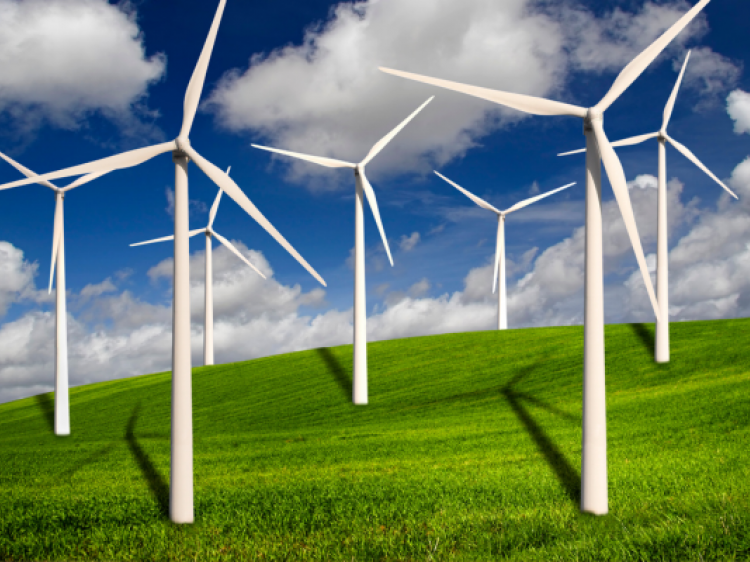 Home Page Tool Images px 2