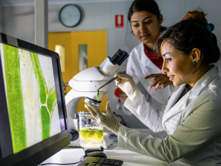 Women In Climate Science Blog