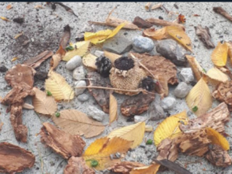 A14f5a0c0c220a527f680a9029c40670 client id602a1f2d398ca870526857d2width400height0