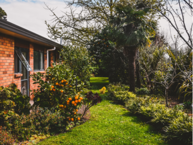 A22a5285b7e6df6f2629ca52e22bbac3 client id602a1f2d398ca870526857d2width400height0