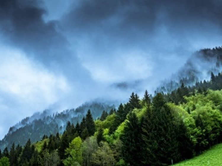 A4c49d4a4831e5f42abae481b3bf12a6 client id602a1f2d398ca870526857d2width400height0