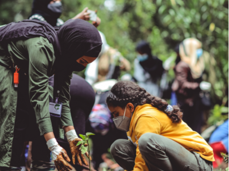 B12cff875c4fc78c120922b74a3d6013 client id602a1f2d398ca870526857d2width400height0