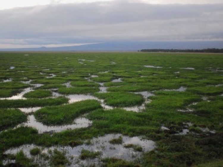 Bd590c908a79a554302c5e95a5796f4c client id602a1f2d398ca870526857d2width400height0