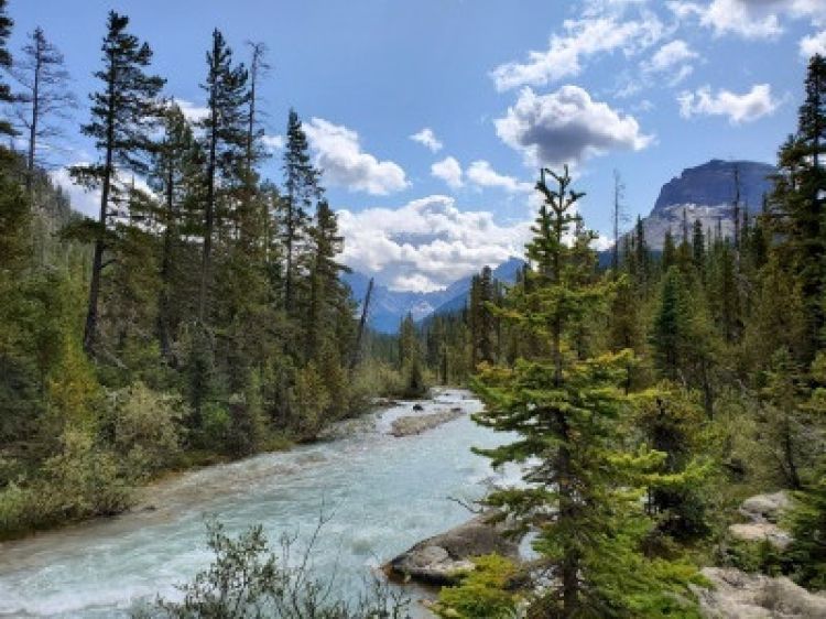 Be0da80d15e993b85c507477fdd890b7 client id602a1f2d398ca870526857d2width400height0