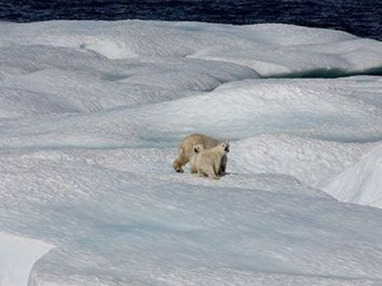 Bf1fd110220bb234785833aa554fe51b client id602a1f2d398ca870526857d2width400height0