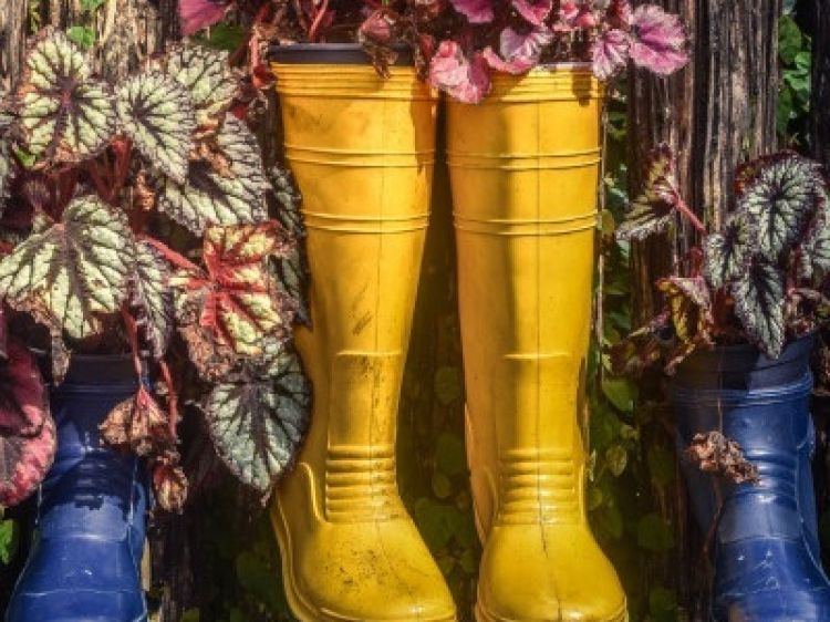 Cdac26329c31038e3110374b7bfc477e client id602a1f2d398ca870526857d2width400height0