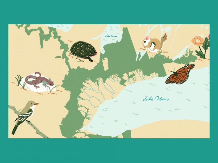 E Cards Homepage slider 2