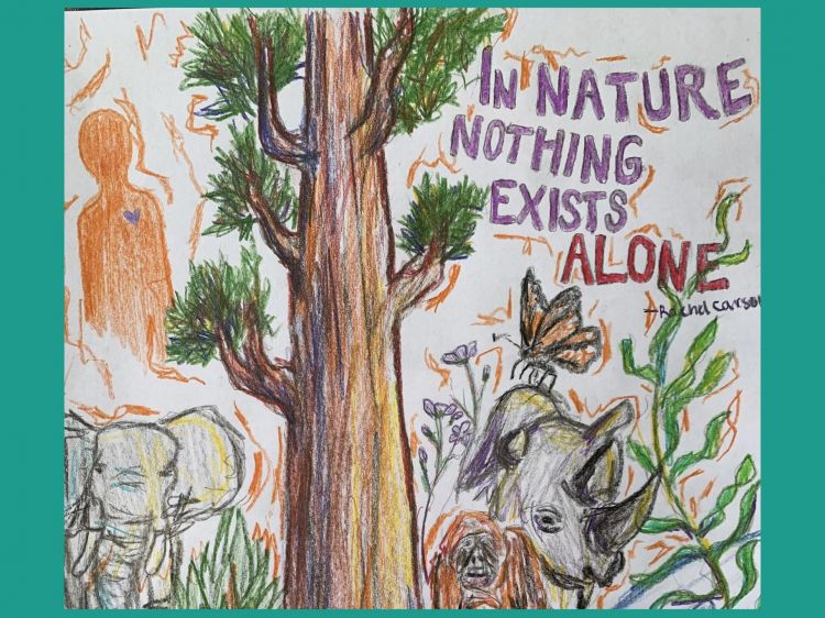 E Cards Homepage slider