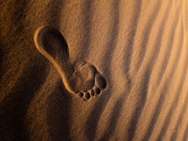 Eac8e973ed5eaf3a02974e5e4b6b8542 client id602a1f2d398ca870526857d2width400height0