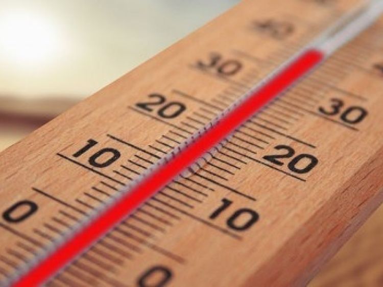 Ebc12333e7345ca2e214e9ed276fa002 client id602a1f2d398ca870526857d2width400height0