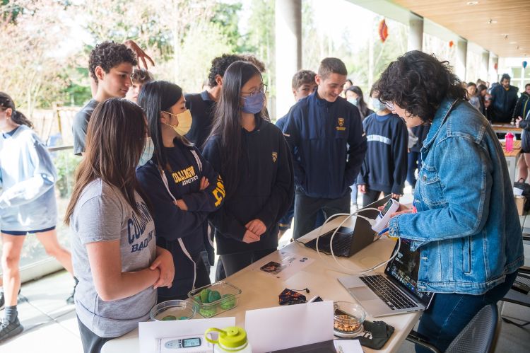 Sustainability fair 4